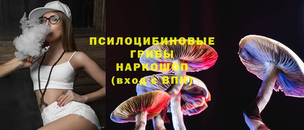 дживик Липки
