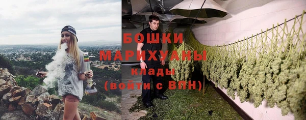 дживик Липки