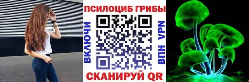 Галлюциногенные грибы Cubensis  даркнет какой сайт  Брянск 